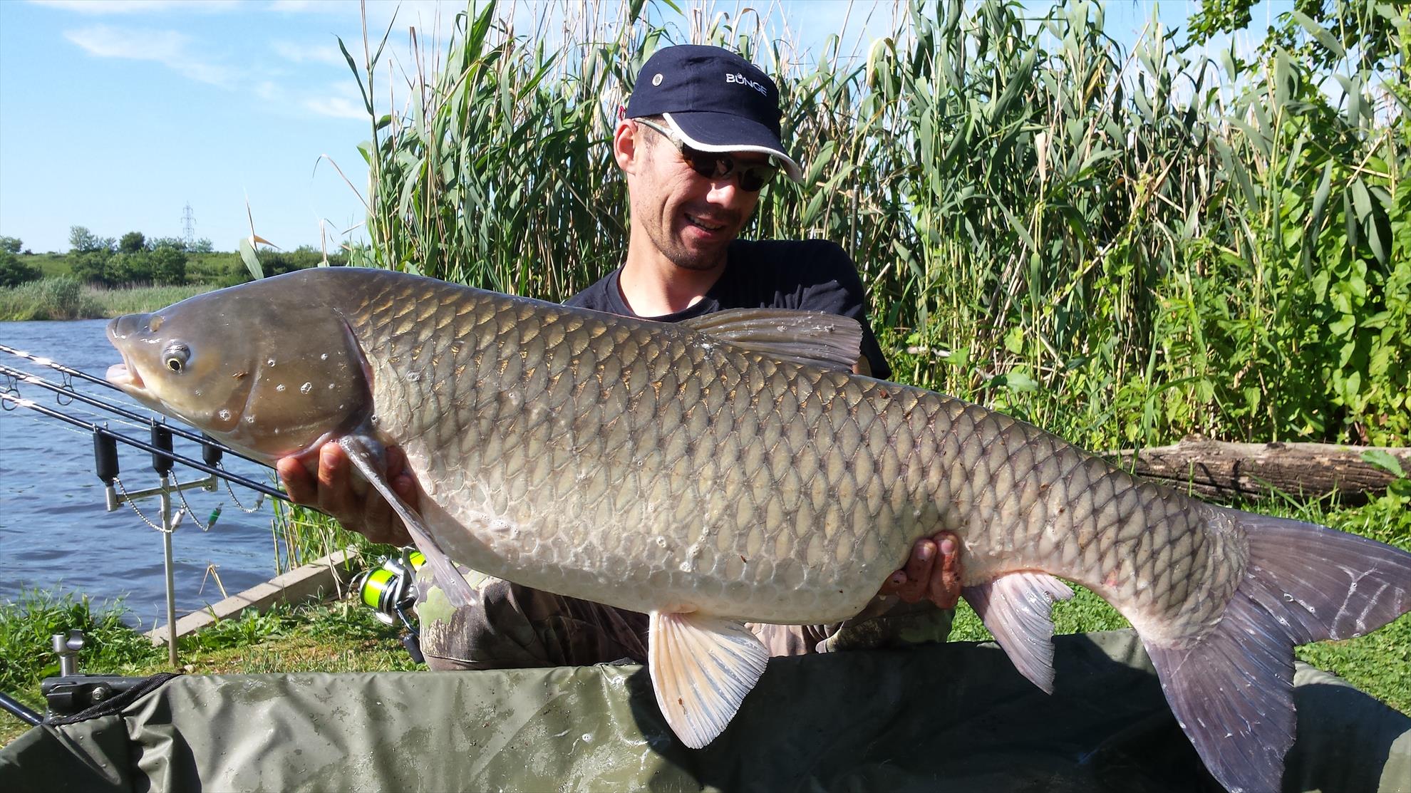 Tancabesti 5 - 6 iunie 2015 - 20150606092531.jpg